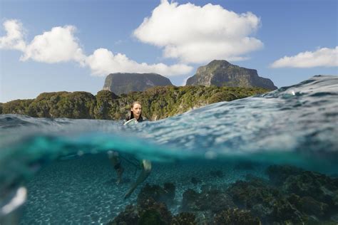 The Shallows 2025